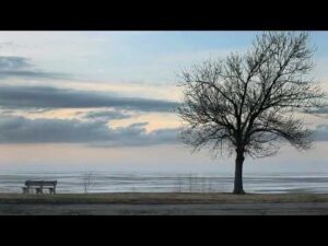 Rosary by Marissa Nadler