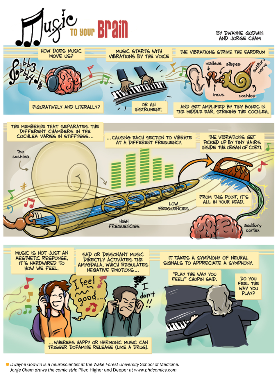 informative speech on how music affects the brain