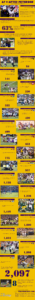 Infographic - Adrian Peterson's 2012 Season