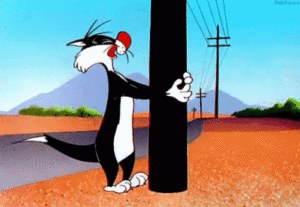 Gif: Sylvester The Cat Annoyed